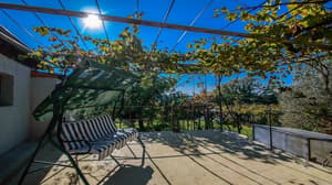 thumbnail: Terrace/patio