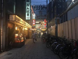 thumbnail: General view