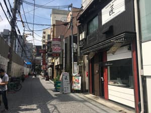 thumbnail: General view
