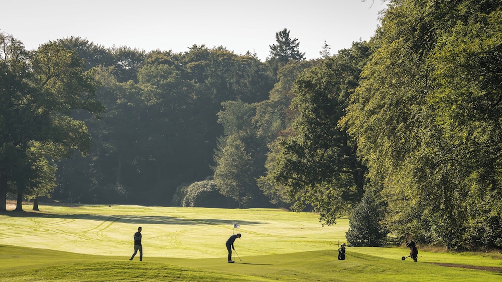 Golf view