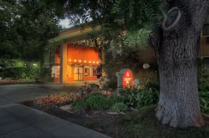 Palo Alto thumbnail