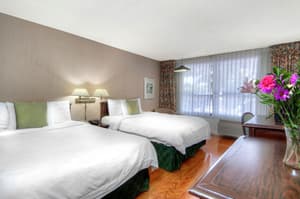 thumbnail: View from room