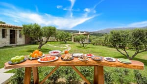 thumbnail: Terrace/patio