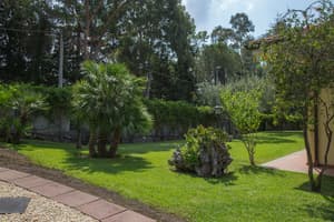 thumbnail: Garden