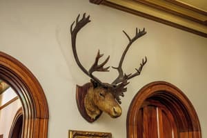 thumbnail: Interior detail
