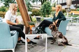 thumbnail: Outdoor dining
