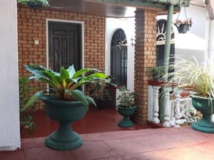 thumbnail: General view