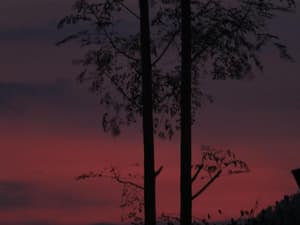 thumbnail: General view