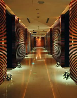 thumbnail: Spa reception
