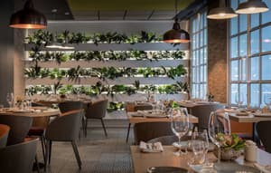 thumbnail: Dining