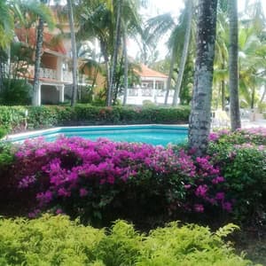 thumbnail: Garden view