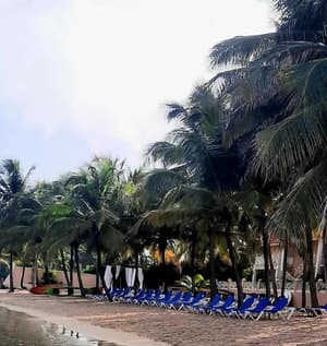 thumbnail: Beach
