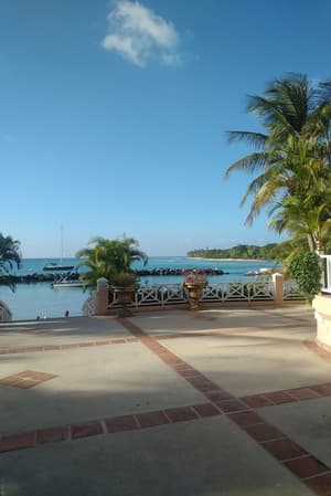 thumbnail: View from property