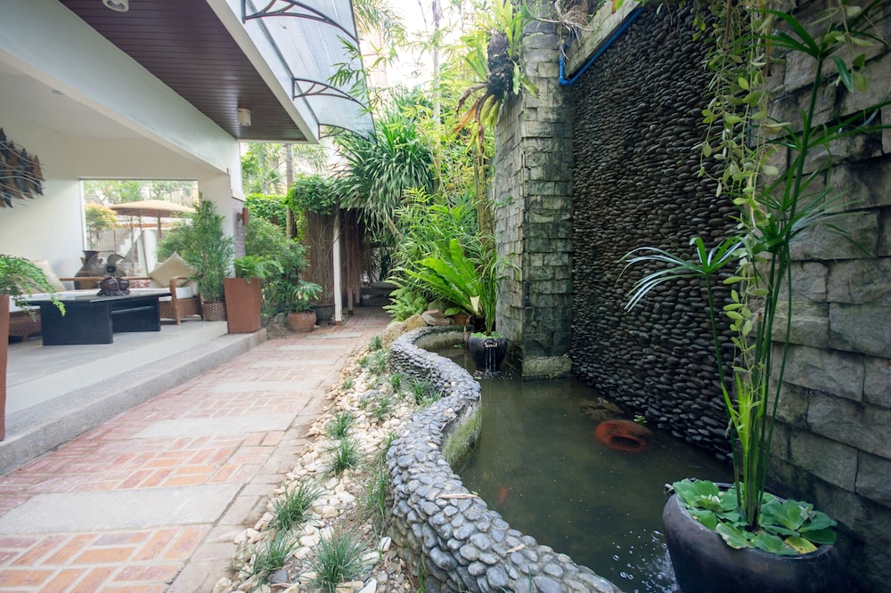 Garden view