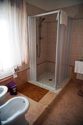 258932529.jpg