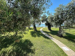 thumbnail: Garden view
