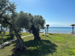 thumbnail: Garden view