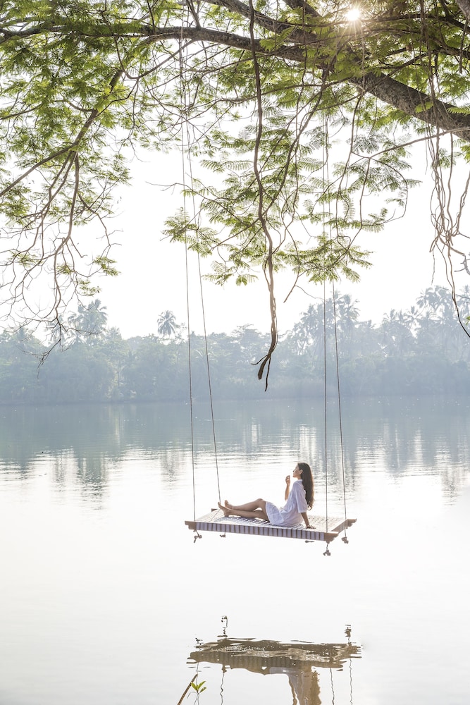 Lake view