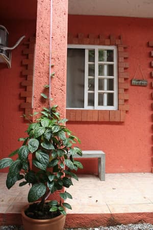 thumbnail: Exterior detail