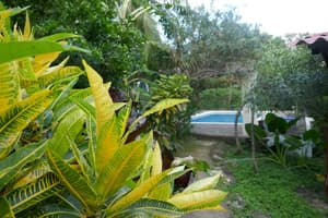 thumbnail: Outdoor pool