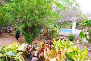 thumbnail: Property grounds
