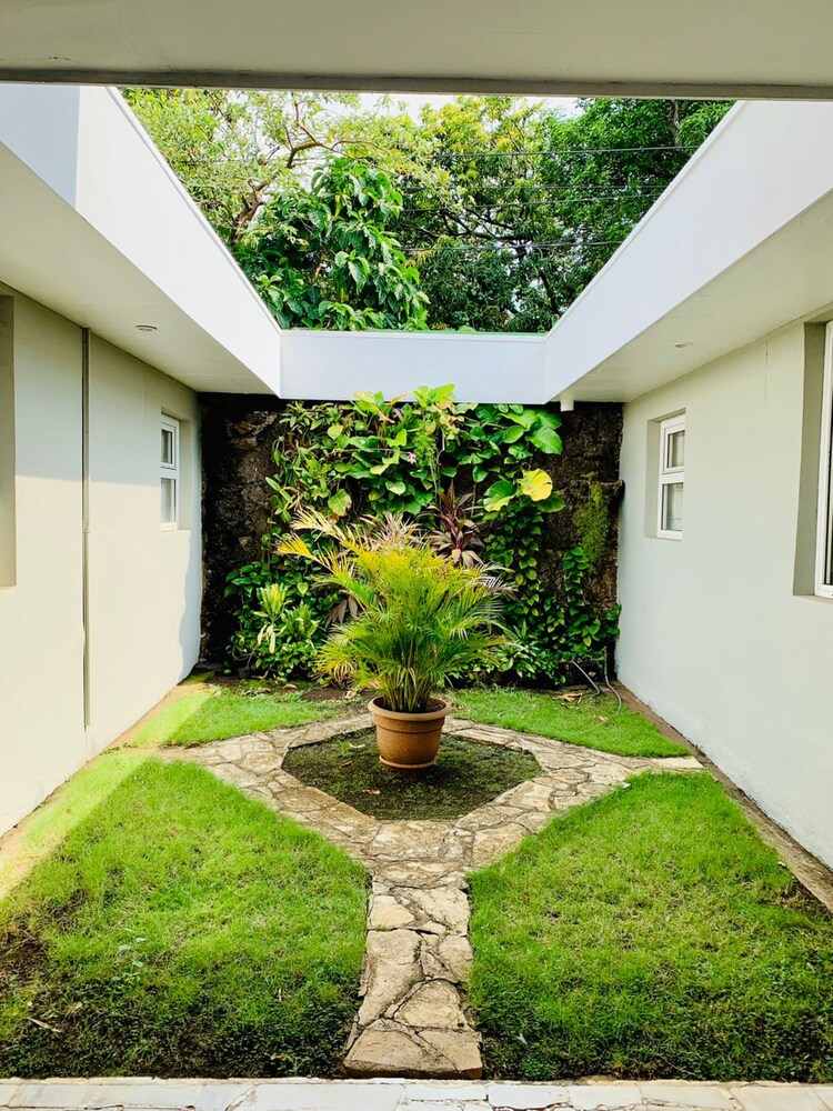 Garden view