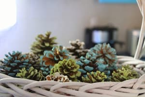 thumbnail: Living area