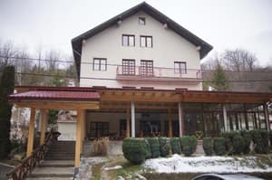thumbnail: 629104160.jpg