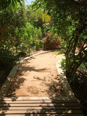 thumbnail: Garden