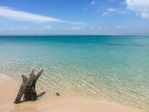 thumbnail: Beach