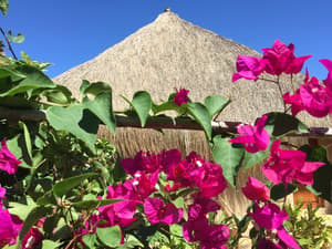 thumbnail: Property grounds