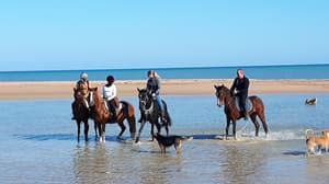 thumbnail: Horseback riding