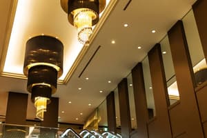 thumbnail: Reception