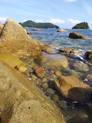 thumbnail: Beach