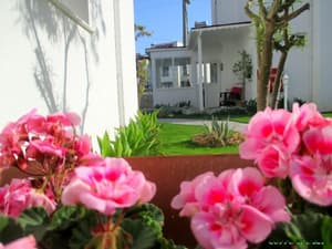 thumbnail: Front of property