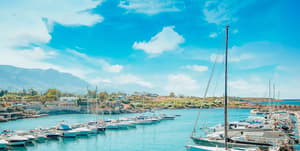thumbnail: Marina