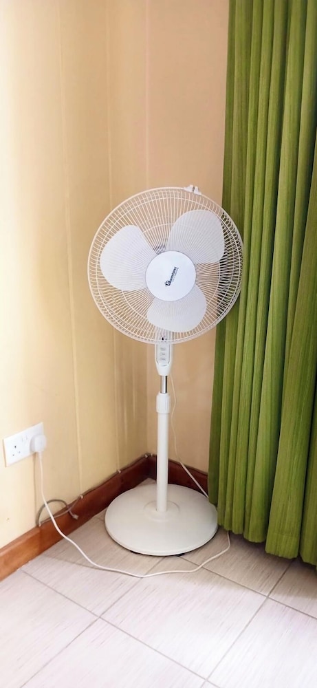 Fan