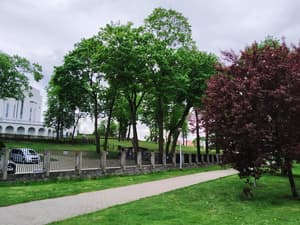 thumbnail: Garden view