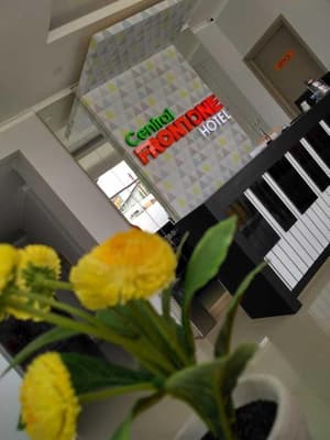 thumbnail: Reception