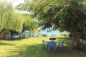 thumbnail: Garden