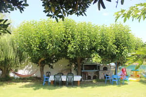 thumbnail: Property grounds