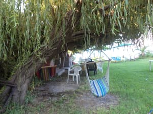 thumbnail: Property grounds