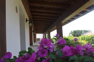 thumbnail: Exterior