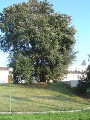 thumbnail: Property grounds