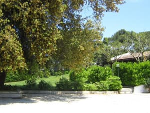thumbnail: Property grounds