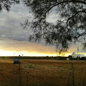 thumbnail: Property grounds