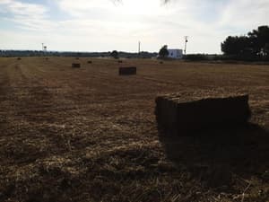 thumbnail: Property grounds