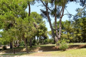 thumbnail: Property grounds