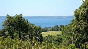 thumbnail: View from property