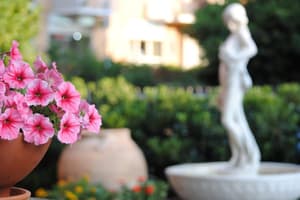 thumbnail: Property grounds